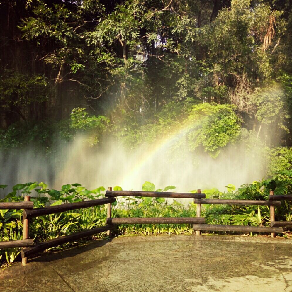 D一秒是错觉的微博_微博